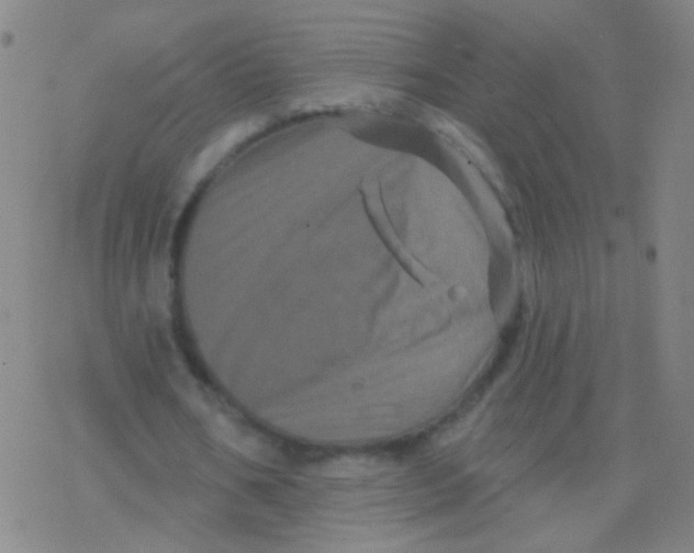 X0000077350578200611101616