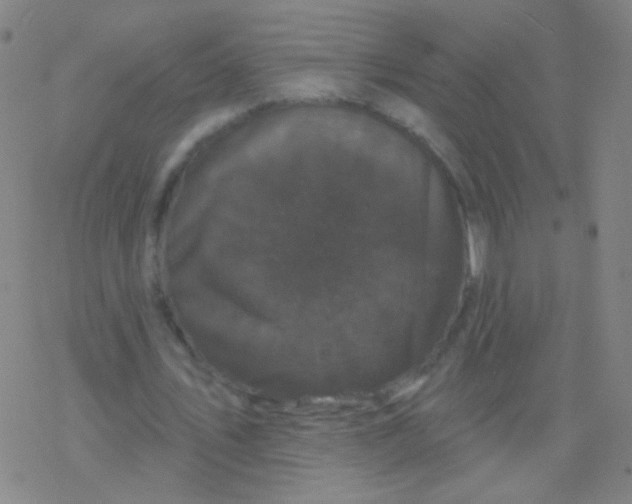 X0000077350579200611101616