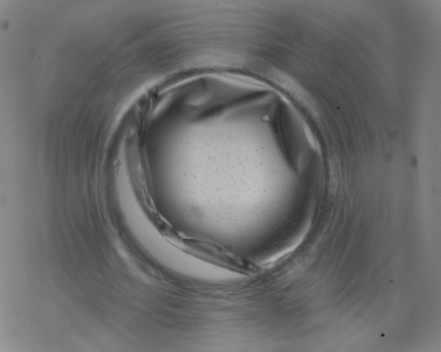 X0000077350580200611101616