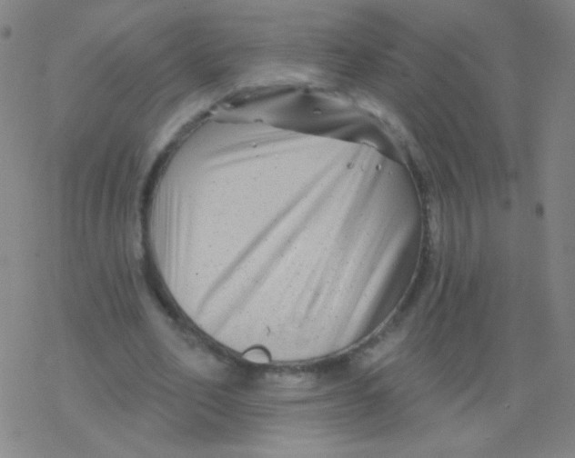 X0000077350582200611101616