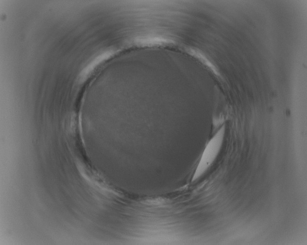 X0000077350583200611101616