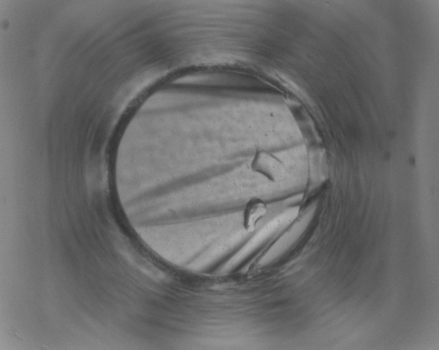 X0000077350584200611101616