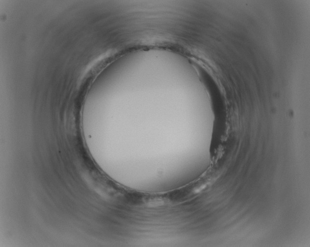 X0000077350587200611101616