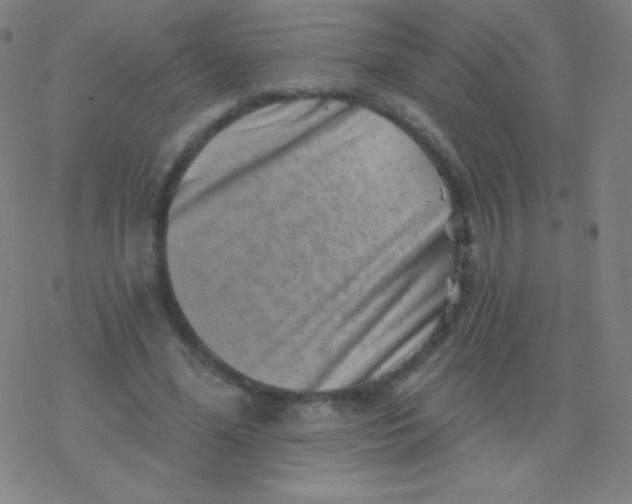 X0000077350588200611101616