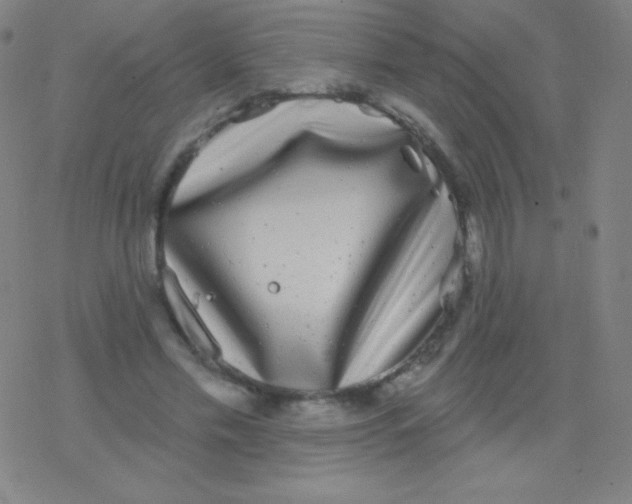 X0000077350589200611101616