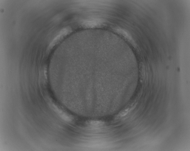 X0000077350590200611101616