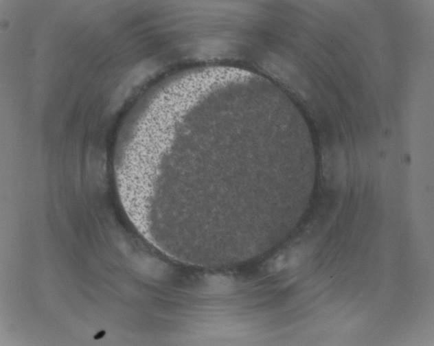 X0000077350592200611101616