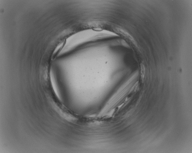 X0000077350593200611101616