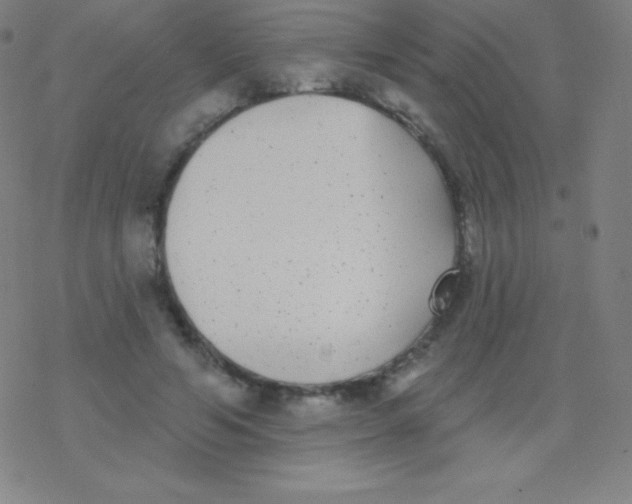 X0000077350594200611101616