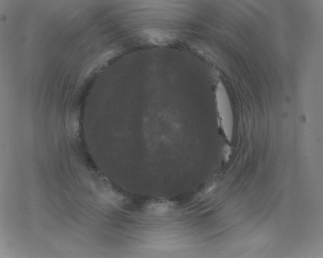 X0000077350595200611101616