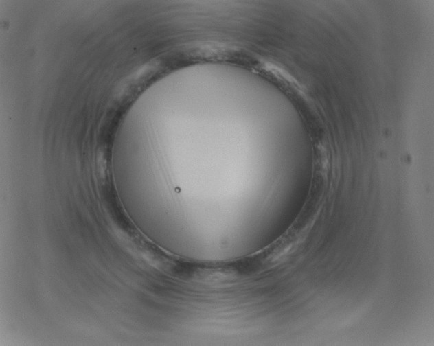 X0000077350597200611101616