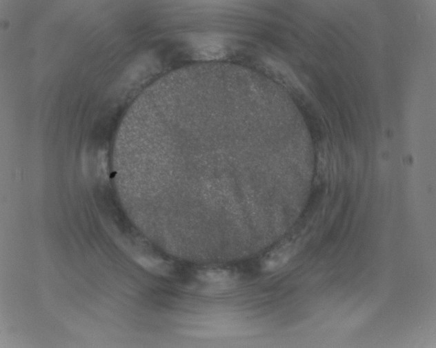 X0000077350598200611101616