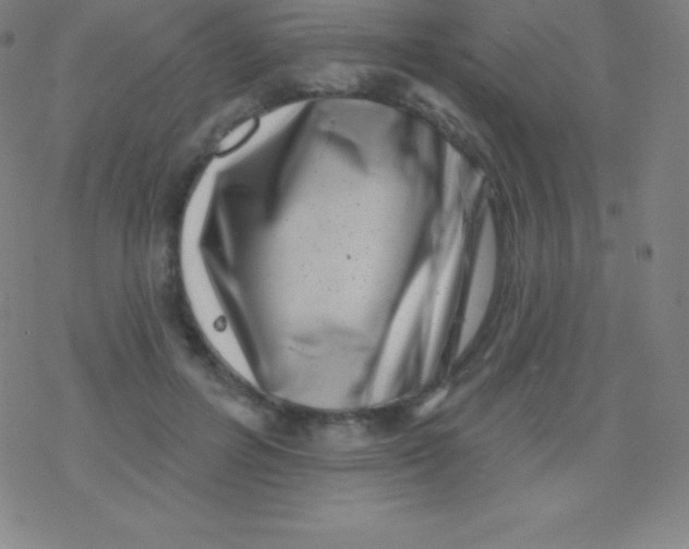 X0000077350600200611101616