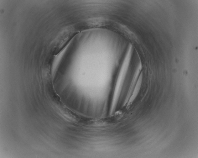 X0000077350601200611101616