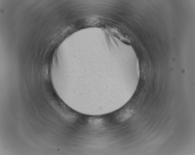 X0000077350602200611101616