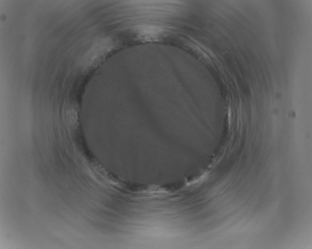 X0000077350603200611101616