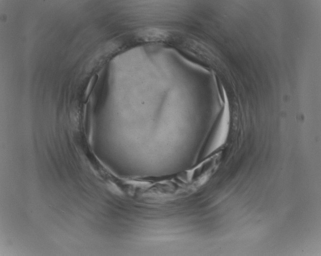 X0000077350604200611101616