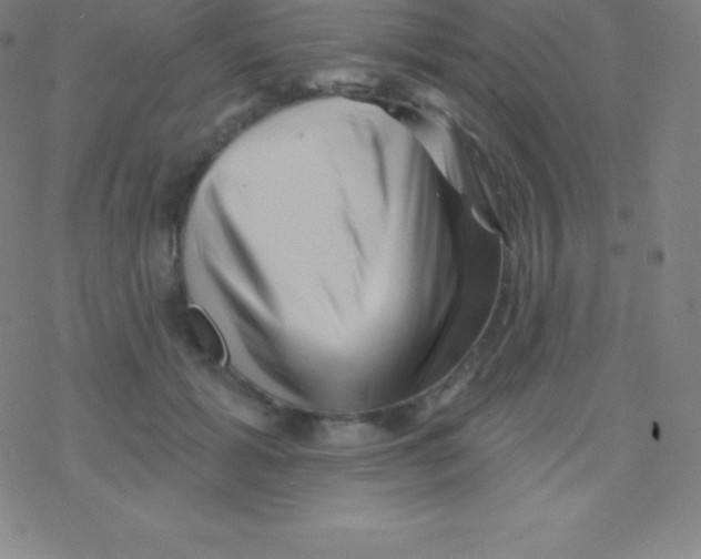 X0000077350605200611101616