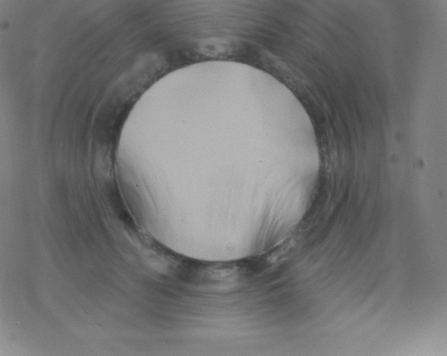 X0000077350606200611101616