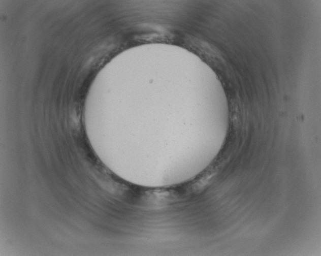 X0000077350607200611101616