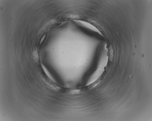 X0000077350609200611101616