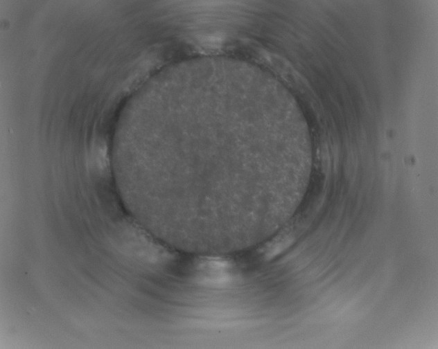 X0000077350610200611101616