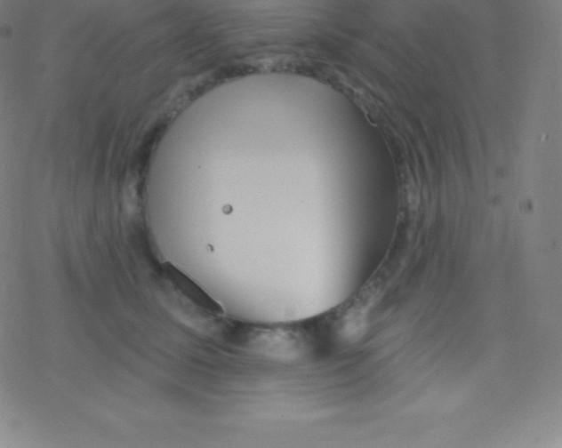 X0000077350611200611101616