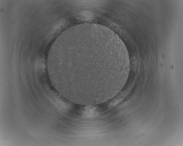 X0000077350612200611101615