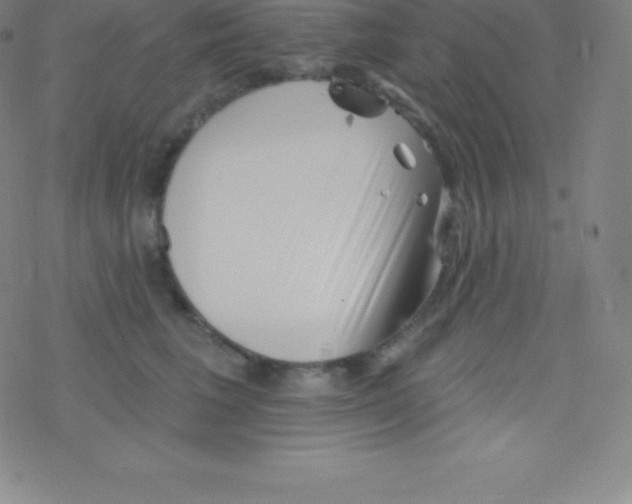 X0000077350613200611101615