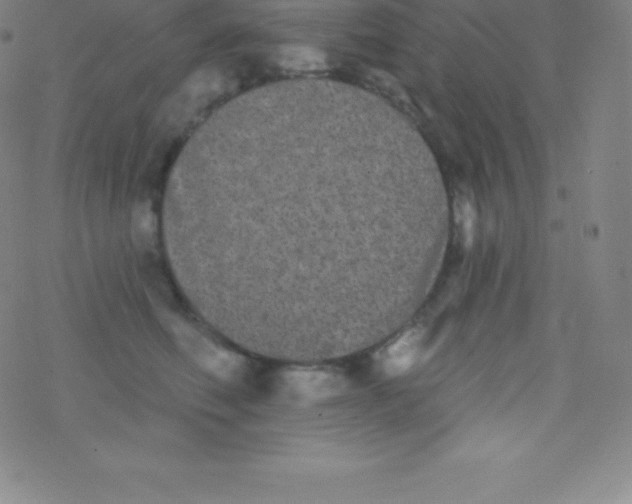 X0000077350614200611101615