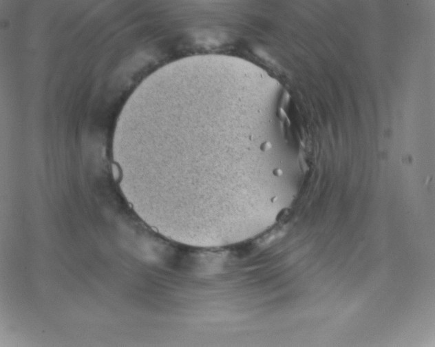 X0000077350615200611101615