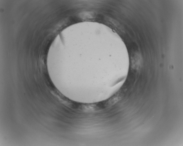 X0000077350618200611101615