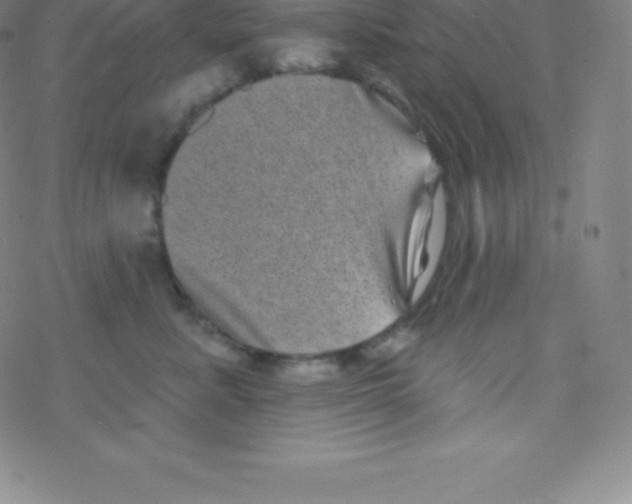 X0000077350619200611101615