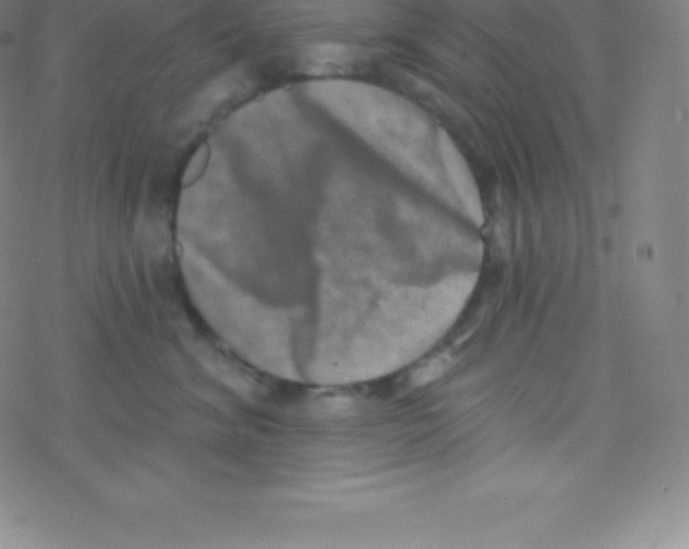 X0000077350620200611101615