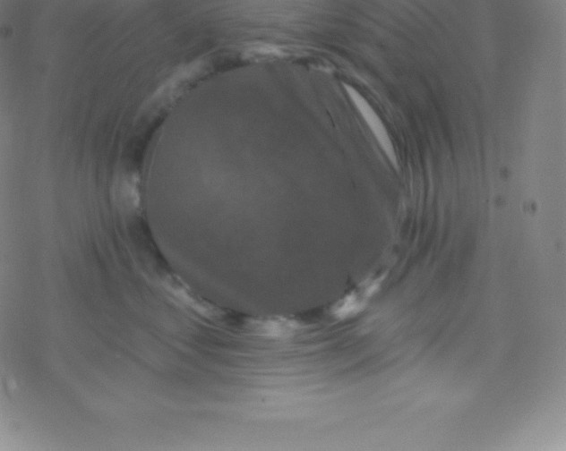 X0000077350621200611101615