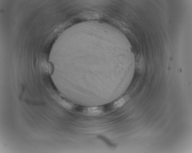 X0000077350622200611101615