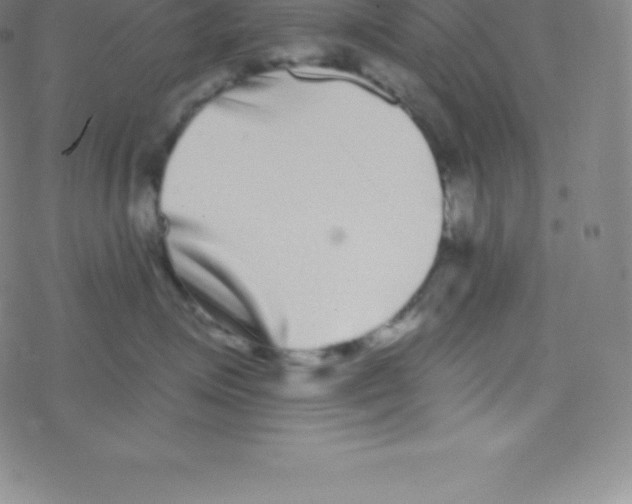 X0000077350623200611101615