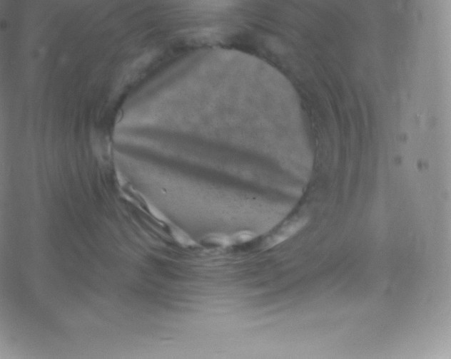 X0000077350624200611101615