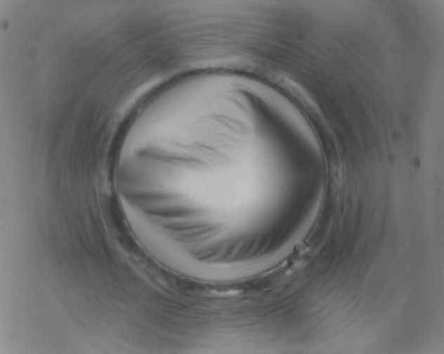 X0000077350628200611101615