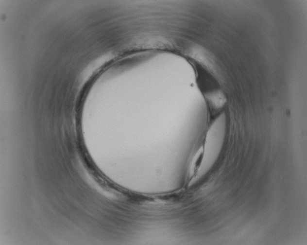 X0000077350630200611101615