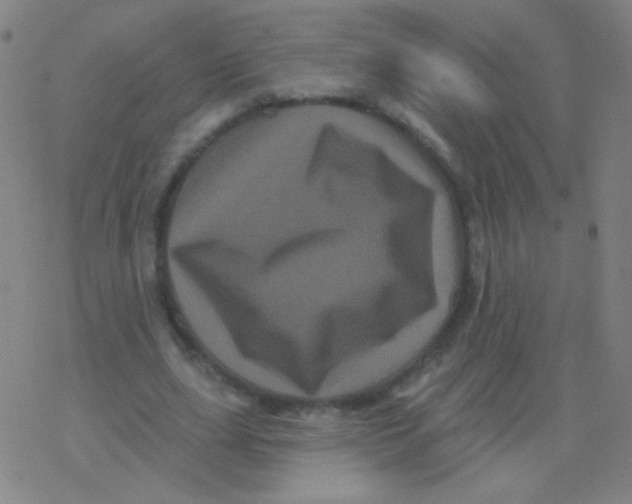 X0000077350631200611101615