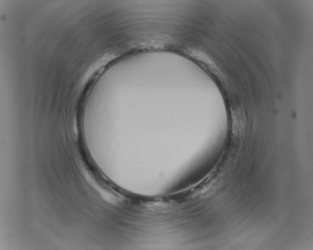 X0000077350634200611101615