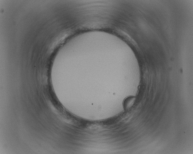 X0000077350635200611101615