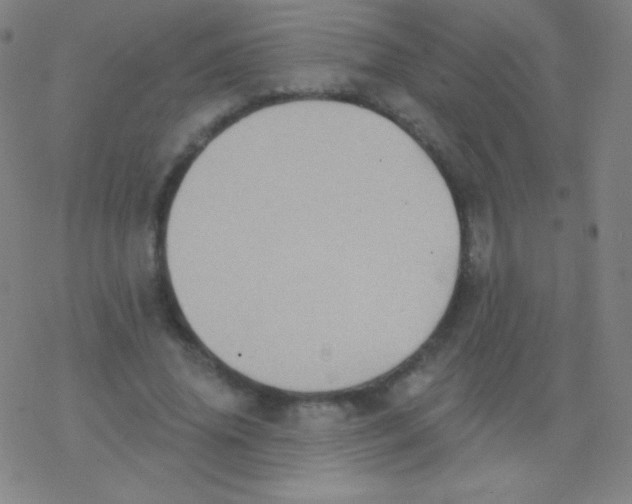 X0000077350636200611101615