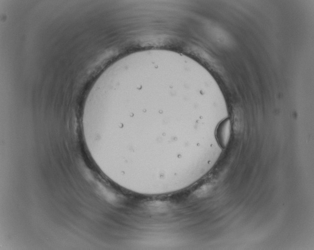 X0000077350637200611101615