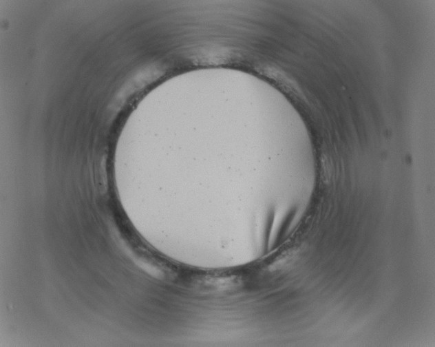 X0000077350638200611101615