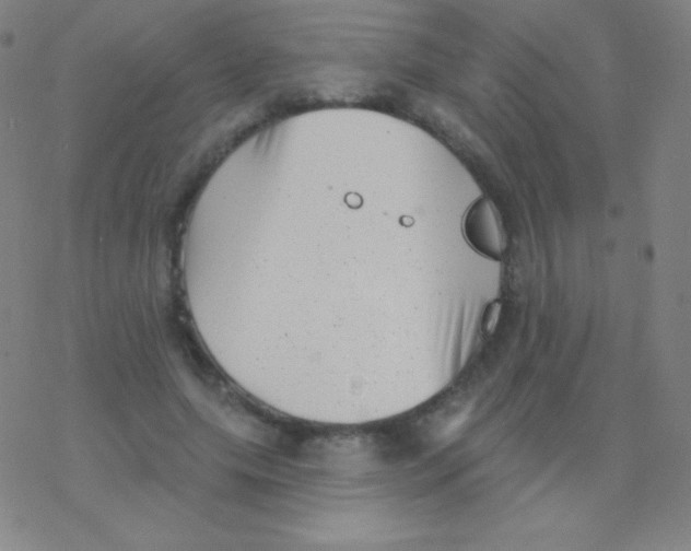 X0000077350639200611101615