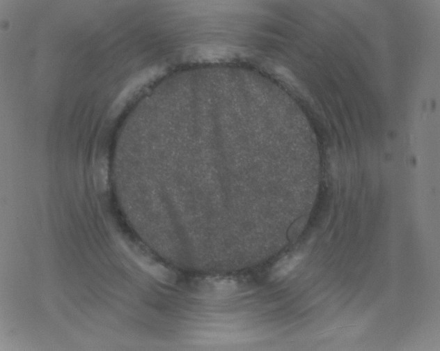 X0000077350640200611101615