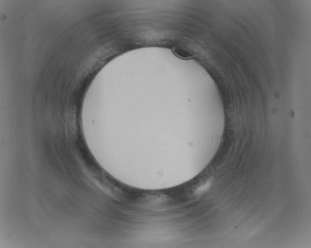 X0000077350642200611101615