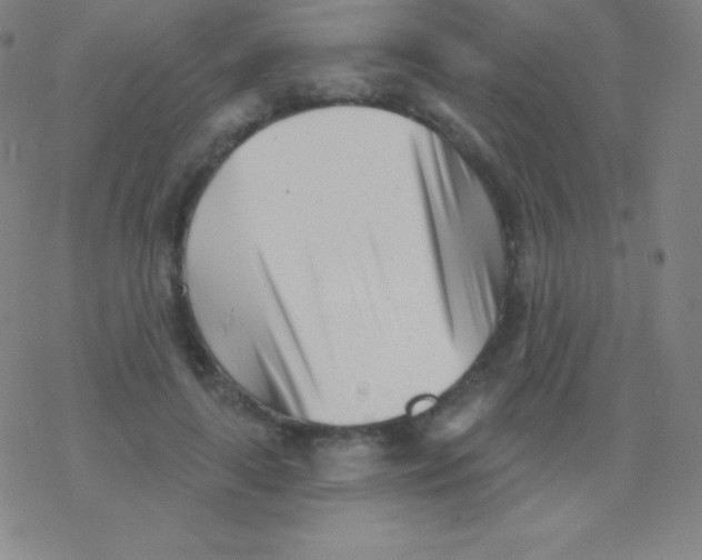 X0000077350643200611101615